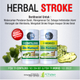 Illustration for article titled Obat Stroke Kananem/em